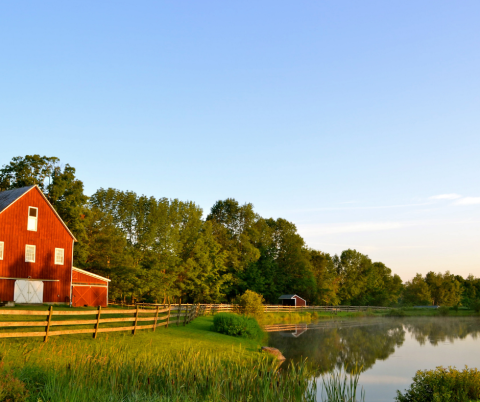 Barn and Pond